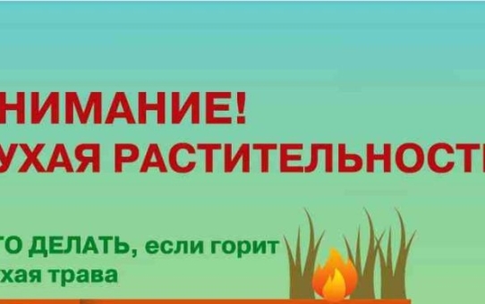 Выжигание сухой растительности опасно и наказуемо!