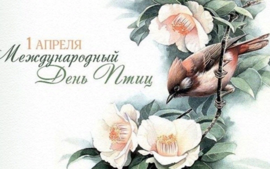 Мероприятие к Международному дню птиц