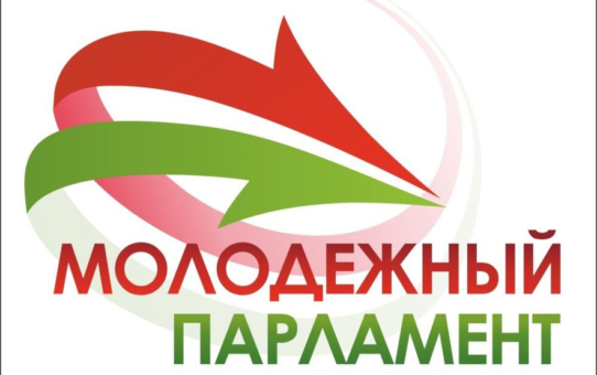 Участие в I сессии V Созыва Молодежного парламента при Ошмянском районном Совете депутатов