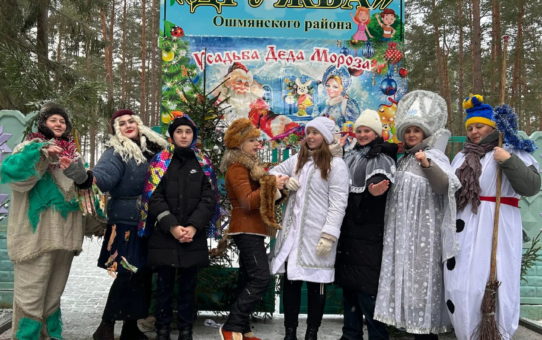 Новогоднее представление в Резиденции Деда Мороза "В поисках Волшебной звезды"